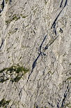 Photo d'un dtail des falaises du Bargy