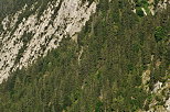 Image d'une fort de montagne accroche aux falaises du Bargy