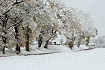 Image des premières neiges en Haute Savoie autour du village de Chaumont