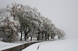 Photo de la campagne de Haute Savoie dans la neige et le brouillard