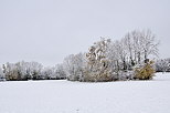Photo d'un paysage rural de Haute Savoie enneigé en automne