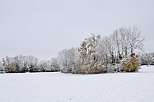 Photo d'un paysage rural de Haute Savoie enneig en automne