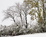 Photographie de la neige d'automne en Haute Savoie