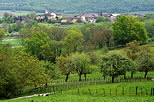 Photograph of a green rural landscape around Sillingy village