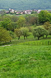 Image d'un paysage  campagnard prs de Sillingy en Haute Savoie