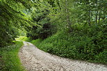 Image d'un chemin rural dans la campagne du Massif des Bauges