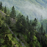 Image de fort de montagne traverse par la brume dans la moraine du Niaizet