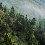 Image de fort de montagne traverse par la brume dans la moraine du Niaizet