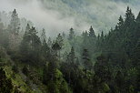 Image of a misty morning in Valserine valley