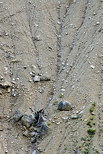 Photo de l'rosion du sol sur les pentes de la moraine du Niaizet