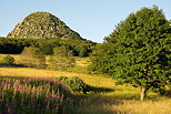 Photo d'un paysage d'été dans la Montagne Ardéchoise autour du Mont Gerbier de Jonc