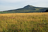 Photographie et prairies et de montagnes sur le Plateau Ardchois