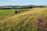 Photographie de l't dans la Montagne Ardchoise autour de Sainte Eulalie