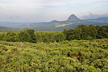 Photographie d'un paysage de la Haute Ardèche autour du Mont Gerbier de Jonc