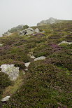 Photographie du brouillard d't en Ardche sur le Suc de la Lauzire