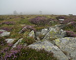 Photographie de brouillard, de bruyres et de rochers sur le Suc de la Lauzire en Ardche