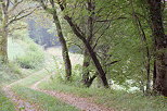 Image d'un chemin   travers la campagne  Arcine en Haute Savoie