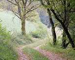 Photo d'une chemin  travers champs prs d'Arcine en Haute Savoie