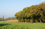 Photo d'un paysage de campagne ensoleillé un matin d'automne