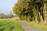 Photograph of a little road in the french countryside