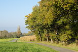 Photograph of a little country road through the french rural landscape
