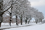 Image de neige autour de la route des Daines et du village de Chaumont