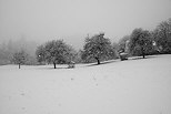 Photo de la campagne de Haute Savoie sous une averse de flocons