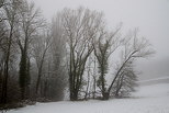 Photograph of the french countryside in winter with snow and fog
