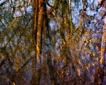 Image de reflets sur la surface d'un tang