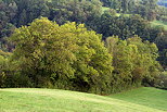 Photo de la campagne prs de Frangy  l'approche de l'automne