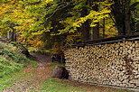 Photo d'un tas de bois de chauffage empilé au bord d'un chemin dans la forêt de Bellevaux