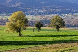 Photographie d'un paysage rural en Chautagne