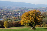 Image of a rural landscape in autumn in the french countryside