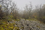 Photo de lapiaz dans le brouillard  Chaumont en Haute Savoie