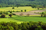 Photo of a springtime rural landscape in Valromey countryside