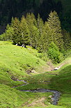 Photo de la lumire d'un premier jour d't dans le Massif des Aravis