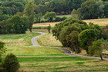 Photo of a country road in summer meadows