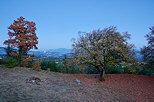 Picture of the French countryside at blue hour