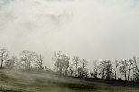 Image of the french countryside in the fog of an autumn morning