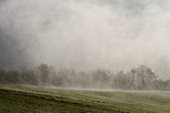 Image d'un paysage rural dans le brouillard