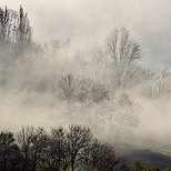 Photographie du brouillard d'un matin d'automne  la campagne