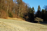 Image of the autumn colours in the landscape around lake Genin