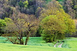 Photograph of a springtime path through a colorful countryside