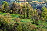 Photographie d'un paysage printanier et verdoyant dans la campagne de Haute Savoie