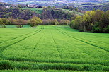 Photo of a green and colorful rural landscape at the end of a springtime day