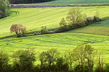 Image d'un paysage rural verdoyant au printemps entre Chaumont et Frangy