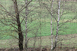 Image of winter colors in Haute Savoie countryside