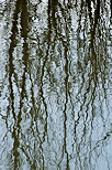 Photo of winter trees reflected on Marlioz pond