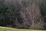 Image des couleurs d'un soir d'hiver dans la campagne autour de Marlioz