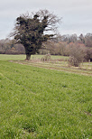 Picture of a rural landscape in winter near Minzier in France